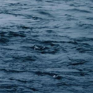 酒店双飞两个美女p
